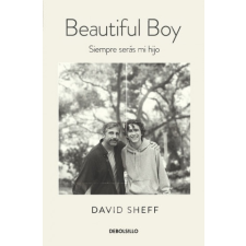  MI HIJO PRECIOSO (BEAUTIFUL BOY) – DAVID SHEFF idegen nyelvű könyv