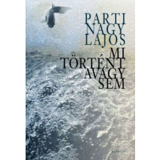  Mi történt avagy sem regény