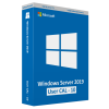 Microsoft Windows Server 2019 User CAL (10)