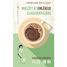 Mielőtt az emlékeid elhalványulnak regény