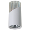 MILAGRO Fehér/króm mennyezeti spotlámpa Milagro Neo White Chrome (ML0285) 1xGU10