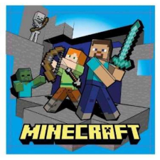 Minecraft Minecraft Kéztörlő arctörlő, törölköző 30x50cm lakástextília