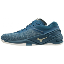 Mizuno Terem WAVE STEALTH NEO unisex női cipő