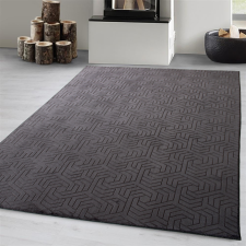  Modern szőnyeg Armoni Plüss (Antracit) 200x280cm Sötét Szürke lakástextília