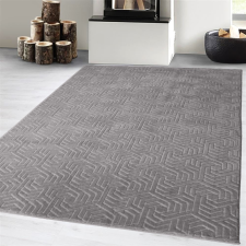  Modern szőnyeg Armoni Plüss (Light grey) 80x150cm Világos szürke lakástextília