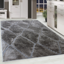 Modern szőnyeg Berber Silk 8601 (Dark Grey) 200x290cm Sötét Szürke lakástextília