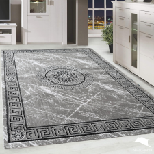 Modern szőnyeg Hermes Rose 079 Szürke 120x170cm lakástextília