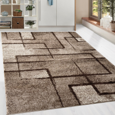  Modern szőnyeg Nara 6035 (Beige) 200x280cm Bézs lakástextília