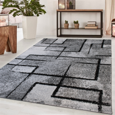  Modern szőnyeg Nara 6035 (Gray) 120x170cm Szürke lakástextília