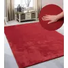  Modern szőnyeg Palm Plüss (Red) 60x110cm Piros