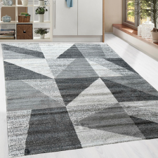Modern szőnyeg Platin 1013 (Gray) 120x170cm Szürke lakástextília