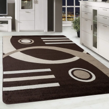  Modern szőnyeg Scarlett 4801 (Brown) 120x170cm Barna lakástextília