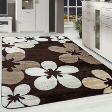  Modern szőnyeg Scarlett 4808 (Brown) 60x220cm Barna lakástextília