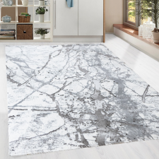  Modern szőnyeg Zara 1855 (Grey-L.Grey) 200x290cm Szürke lakástextília