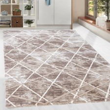 Modern szőnyeg Zara 2850 (Brown-L.Brown) 160x220cm Barna lakástextília