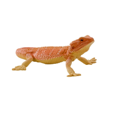 Mojo agama figura játékfigura