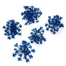  MollyLac - Szárított virág - Royal Blue (5 darab) körömdíszítő