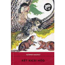 Móra Ferenc Könyvkiadó Két kicsi hód (Delfin könyvek) antikvárium - használt könyv