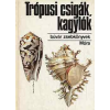 Móra Ferenc Könyvkiadó Trópusi csigák, kagylók (búvár zsebkönyv)