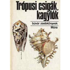 ﻿Móra Ferenc Könyvkiadó Trópusi csigák, kagylók (búvár zsebkönyv) antikvárium - használt könyv