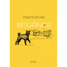 Móra Kiadó Bogáncs gyermek- és ifjúsági könyv