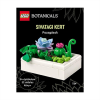 Móra Lego Botanicals - Sivatagi kert Pozsgások