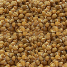  Mosella Főtt etető búza 1kg bojli, aroma
