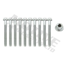 Motive hengerfejcsavar-készlet MOTIVE HB1641SET autóalkatrész