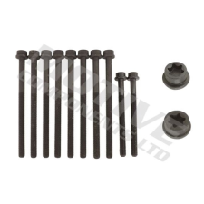 Motive hengerfejcsavar-készlet MOTIVE HB8141SET autóalkatrész