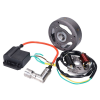 Motomotors 12V generátor állórész (gyújtásalaplap) és forgórész (lendkerék) - Puch Maxi