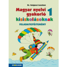 Mozaik Kiadó Magyar nyelvi gyakorló kisiskolásoknak 1. (B) tankönyv
