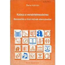 Mozaik Oktatási Stúdió Kalauz a versértelmezéshez antikvárium - használt könyv
