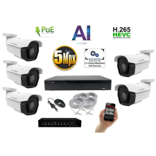 MS - AI IP park kamerarendszer 5 kamerával switchel 5 Mpix - 6185K5B megfigyelő kamera