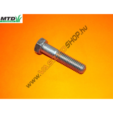 MTD Ékszíjtárcsa felfogató csavar MTD Platinum SD 25/107H barkácsgép tartozék