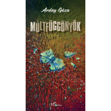 Múltfüggönyök regény