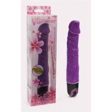  Multi Speed Vibrator Purple 2 vibrátorok