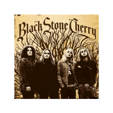 Music on Vinyl Black Stone Cherry - Black Stone Cherry (Gatefold) (180 gram Edition) (Vinyl LP (nagylemez)) rock / pop