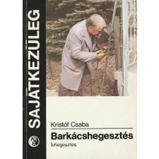 Műszaki Barkácshegesztés - Ívhegesztés antikvárium - használt könyv