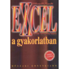Műszaki Könyvkiadó Excel for Windows a gyakorlatban