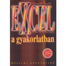 Műszaki Könyvkiadó Excel for Windows a gyakorlatban antikvárium - használt könyv