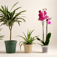 MUTA Habarcskeverő magyar 0.5 kg NYELEZETT kőműves és burkoló szerszám