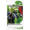 MUTA Matrica pinot noir 50db/csom