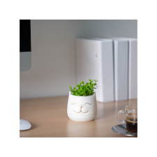  Művirág cicás kaspóban 3 féle változatban 9x14cm 11849 dekoráció