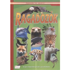 Múzsa Könyv Ragadozók - Képes ismeretterjesztés gyerekeknek - Fedezzük fel együtt! gyermek- és ifjúsági könyv