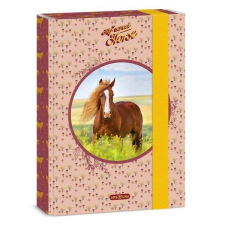 My Sweet Horse lovas füzetbox - A5 füzetbox