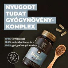 Myrobalan Nepa nyugodt tudat gyógynövény-komplex gyógyhatású készítmény