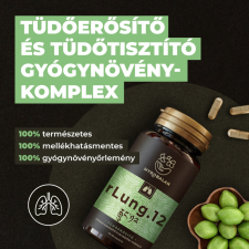 Myrobalan rLung.12 tüdőerősítő és tüdőtisztító gyógynövény-komplex gyógyhatású készítmény