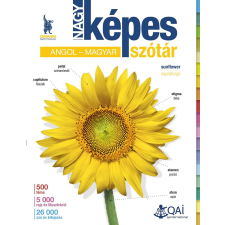 Nagy képes szótár angol–magyar nyelvkönyv, szótár