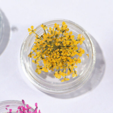 Nagyker 2. Szárított virág kis tégelyes - citromsárga körömdíszítő