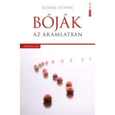 NAPKÚT Bóják az áramlatban egyéb e-könyv